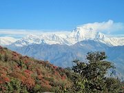Hilly regions with himalayas on background