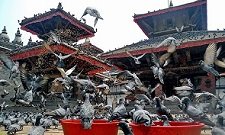Artistic temples in kathmandu